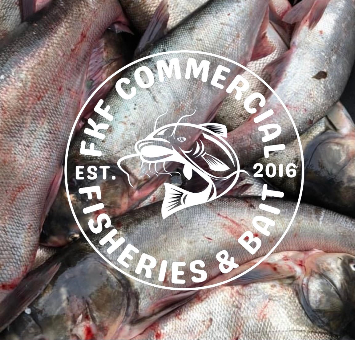 FKF Commercial Fisheries & Bait